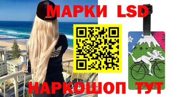 скорость Новозыбков
