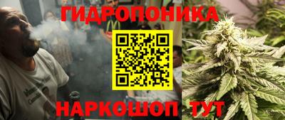 ALPHA PVP Новодвинск
