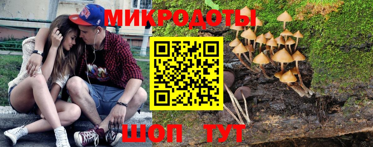 где купить наркоту  Вход с VPN  Шахты  Псилоцибиновые грибы GOLDEN TEACHER 