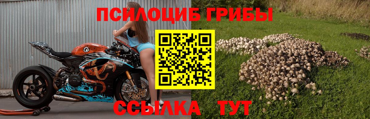 Галлюциногенные грибы прущие грибы Шахты